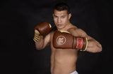 Ringside Heritage Lace Sparring Gloves - Sedroc Sports