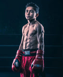 Ringside IMF Tech Pro Fight Gloves