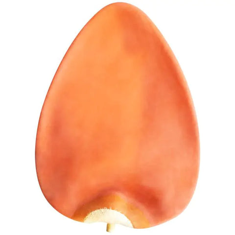 Ringside Latex Speed Bag Bladder - Sedroc Sports