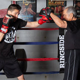 Ringside Pro Panther Punch Mitts - Sedroc Sports