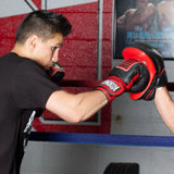 Ringside Pro Panther Punch Mitts - Sedroc Sports