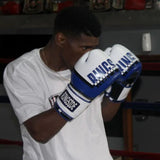 Ringside Omega Sparring Gloves - Sedroc Sports