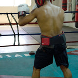 Ringside No Foul Boxing Groin Protector
